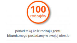 100 rodzjaów gontu
