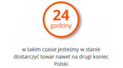 24 godziny