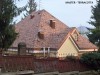 Gont Bitumiczny TEGOLA Master PREMIUM - TERRACOTTA 504