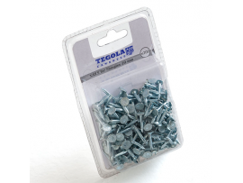 Gwoździe Pierścieniowe Galwanizowane 3,0x20 mm 200 szt [TEGOLA]