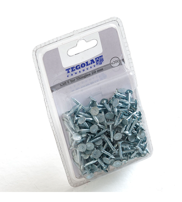 Gwoździe Pierścieniowe Galwanizowane 3,0x20 mm 200 szt [TEGOLA]