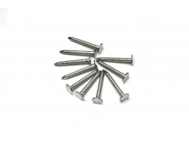 Gwoździe Pierścieniowe Ocynkowane 3,0x25 mm 2 kg [TEGOLA]