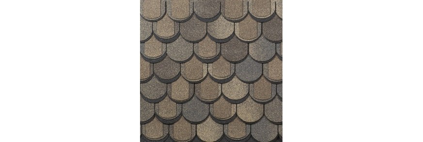 gont ATLANTIC  - 60 lat gont ATLANTIC  - 60 lat