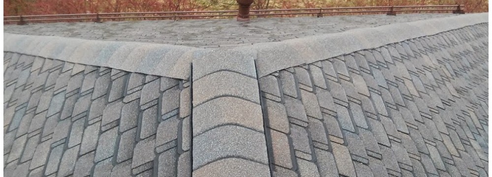 Zdjęcie gont Continental 8